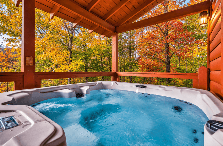 Hugo's Hideaway - Sevierville