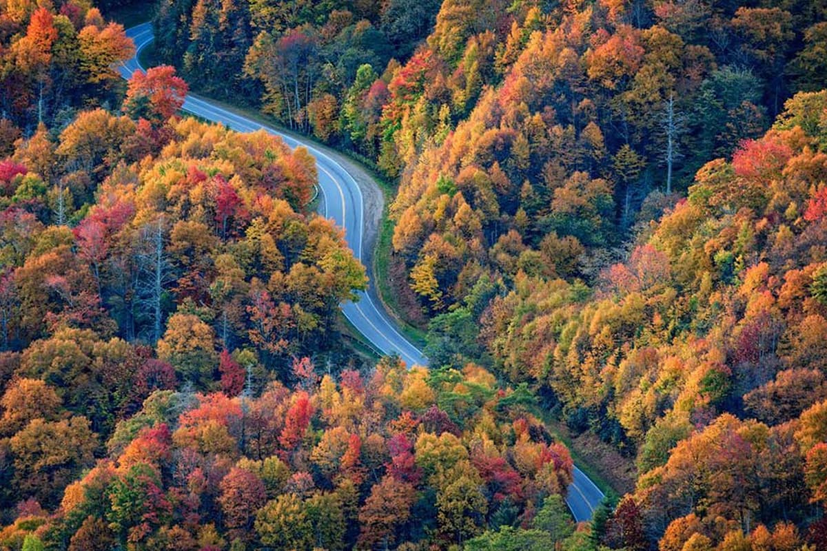 Smoky Mountains: Explore breathtaking mountain views, scenic trails, and the natural beauty of the Great Smoky Mountains.