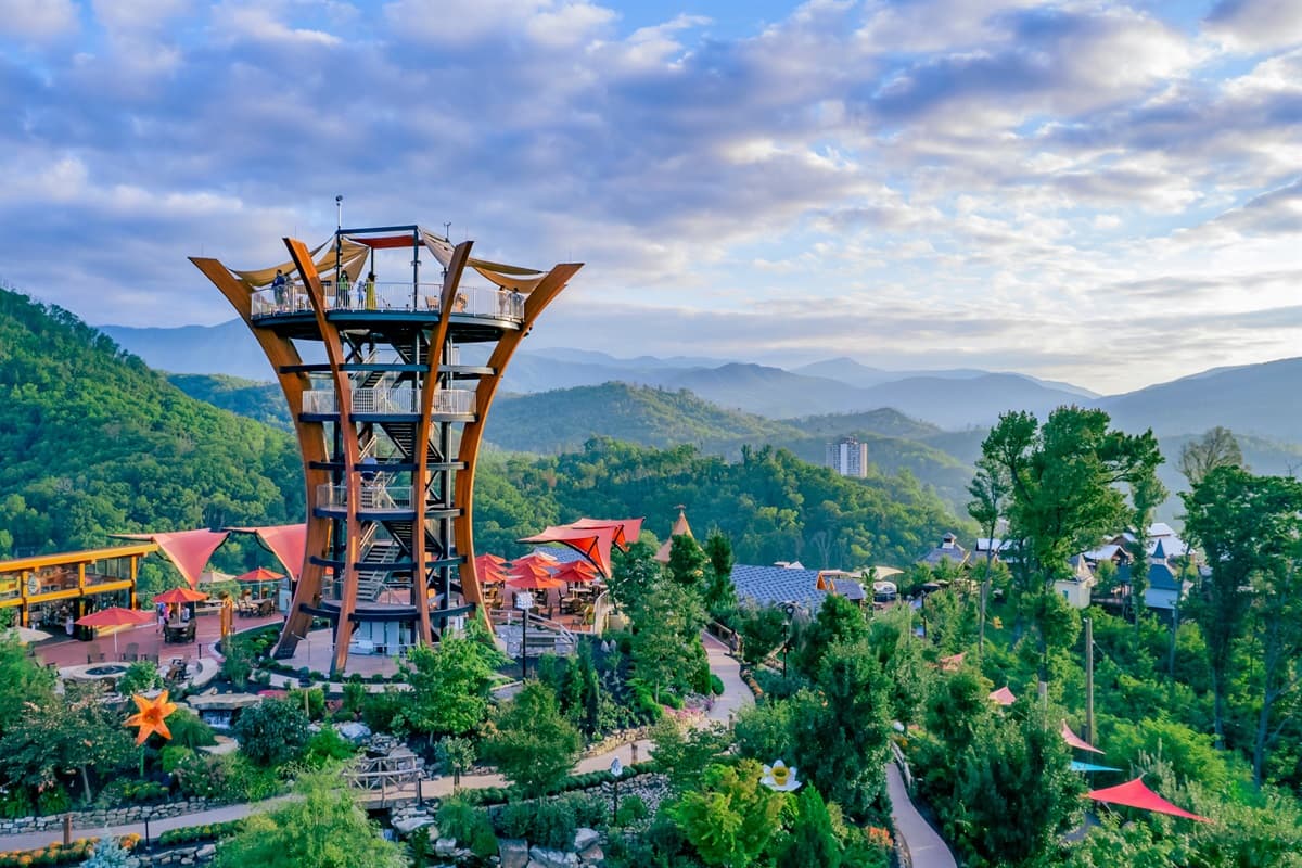Soar through the treetops, explore scenic trails, and take in breathtaking views of the Smokies at Anakeesta