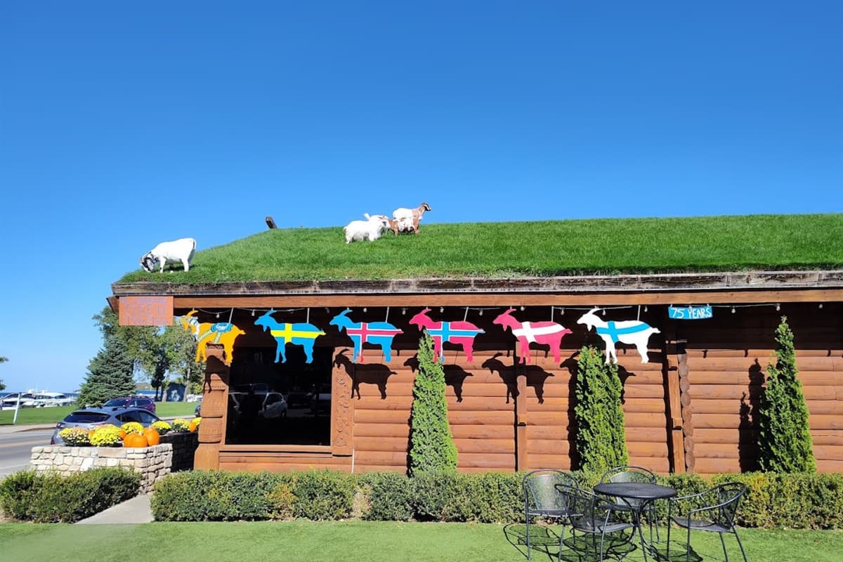 Visit the iconic Al Johnson’s in Sister Bay, where you can enjoy authentic Swedish cuisine and watch the famous goats grazing on the rooftop!