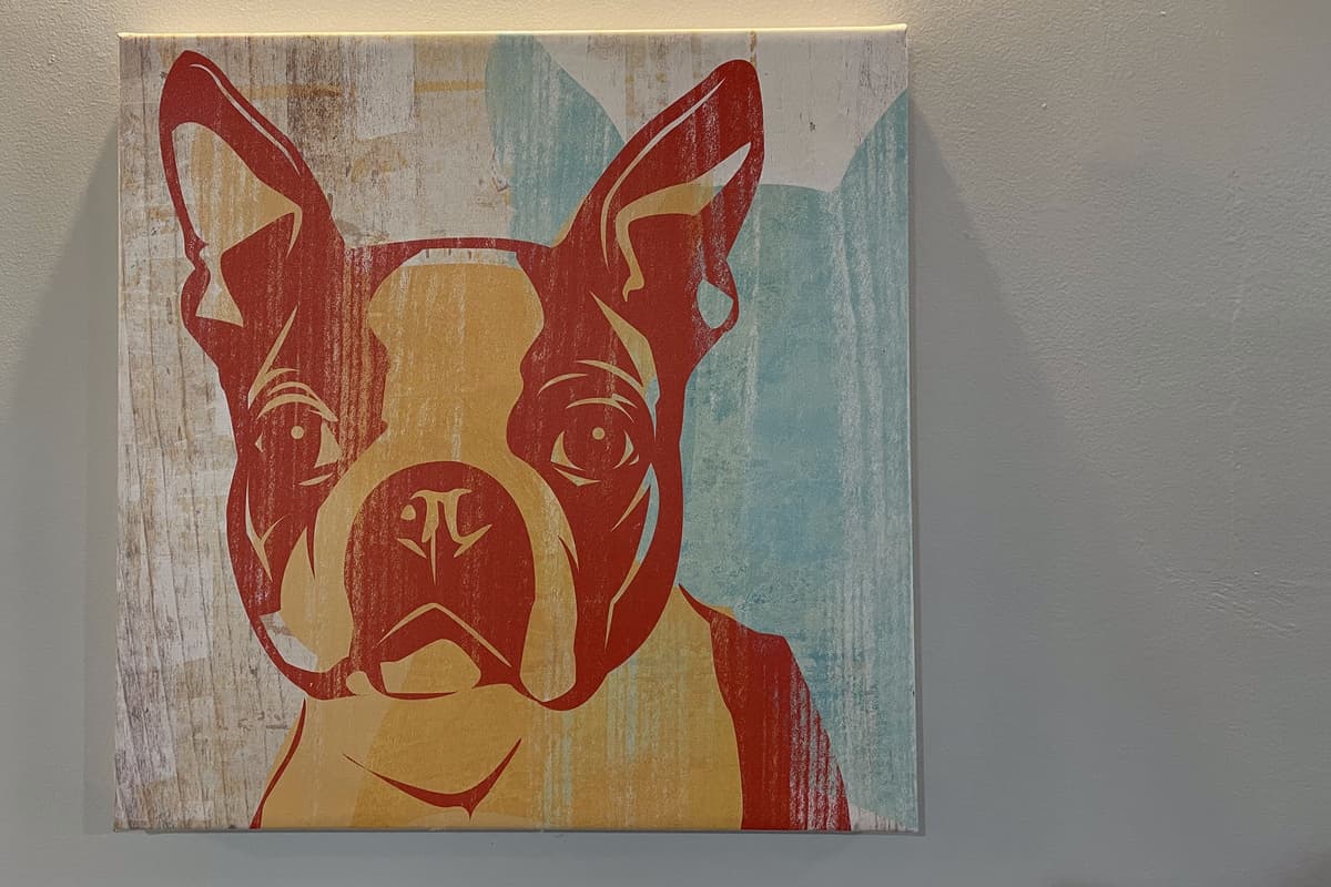 This pet-friendly home makes it easy to bring your furry companion along for your next adventure.