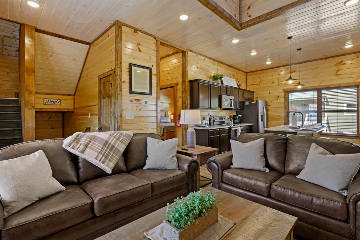 Liberty Lodge - Pigeon Forge, photo 4