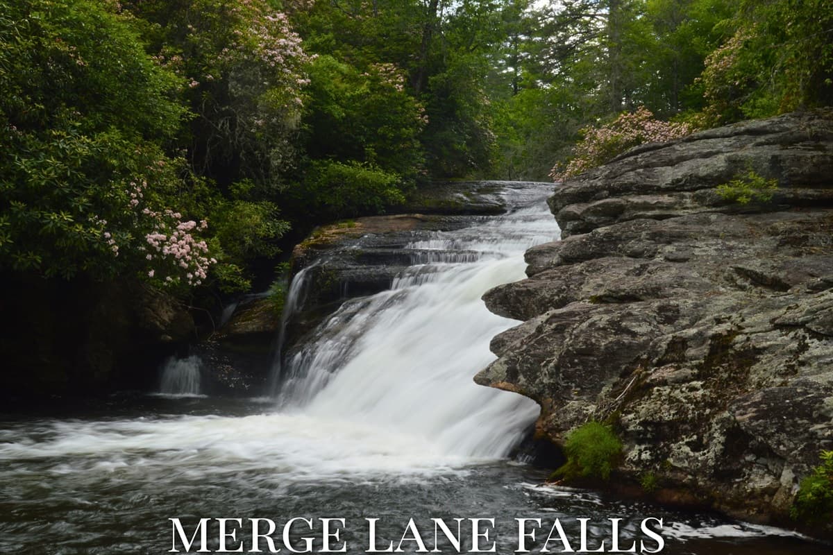 Where two streams become one - Merge Lane Falls is a stunning hidden gem framed by blooming mountain laurel and moss-draped boulders on your private trail.