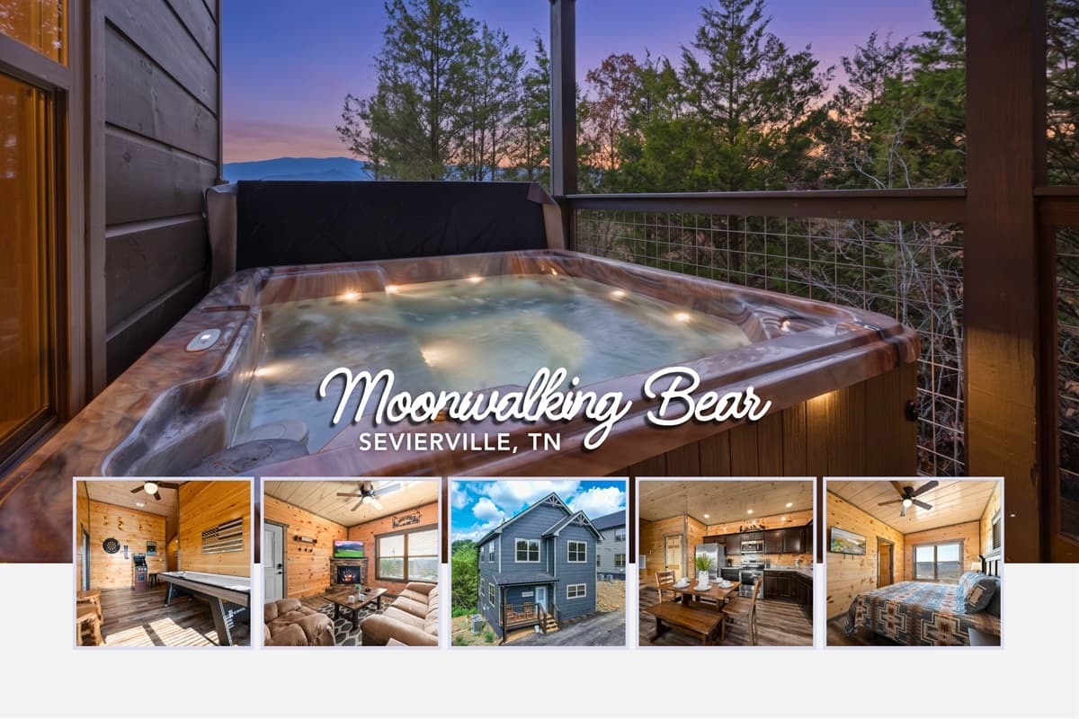 Moonwalking Bear - Sevierville