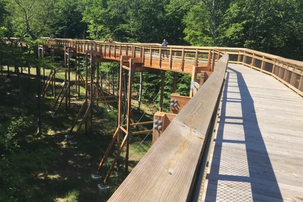 Climb to new heights at Eagle Tower in Peninsula State Park, where panoramic views of Lake Michigan and the surrounding landscape create an unforgettable experience!