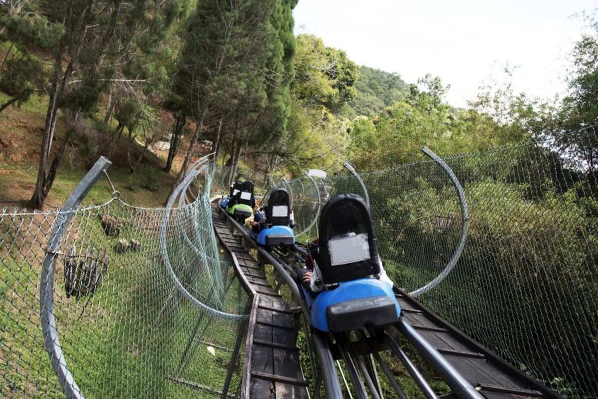 Head to Soaky Mountain Coaster in Sevierville for a thrilling ride through the beautiful Smokies. Enjoy the twists, turns, and scenic views for an unforgettable adventure.