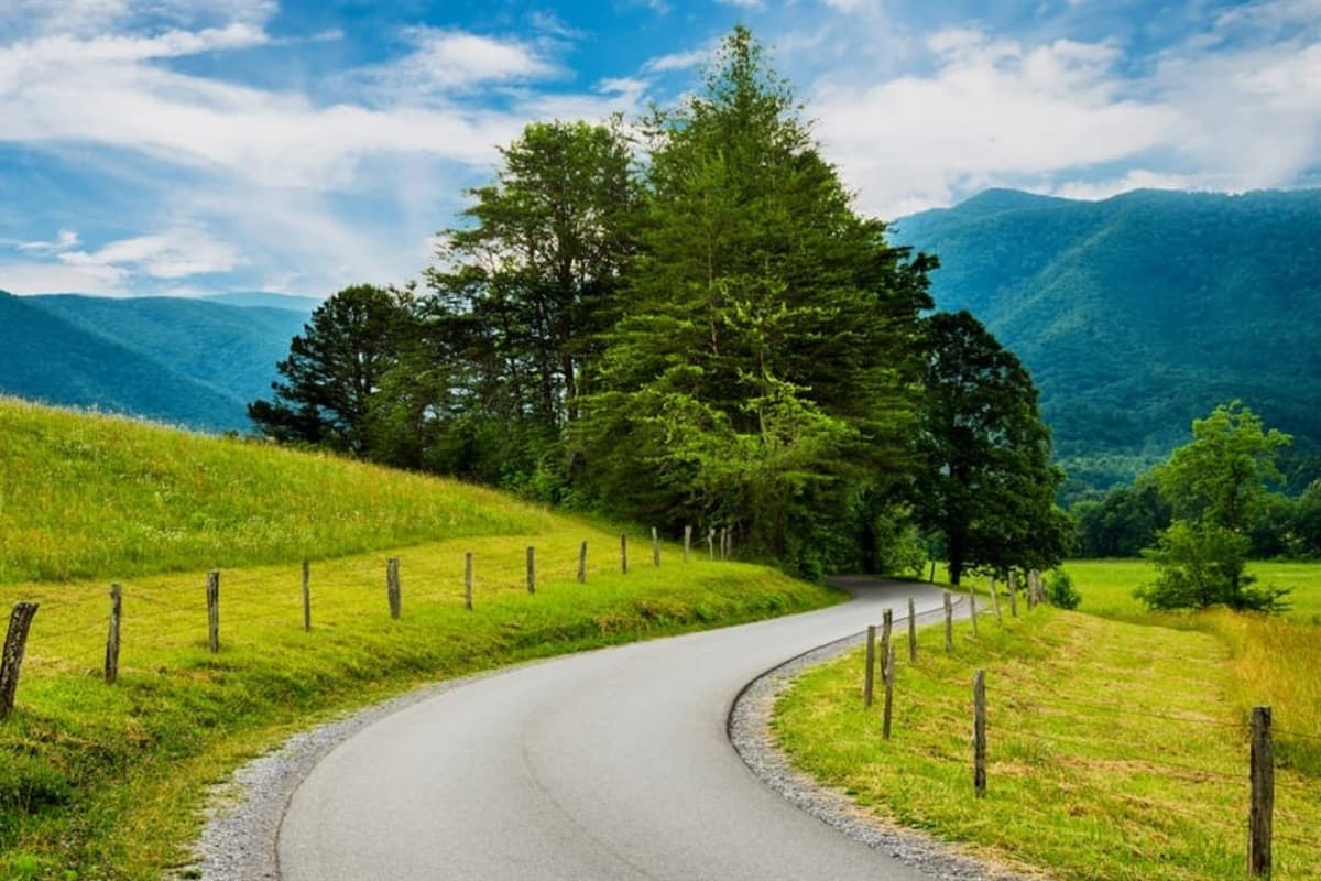 Our cabin is nestled within a stunning natural environment, offering captivating views of verdant hills and a tranquil winding road, perfect for a scenic escape.