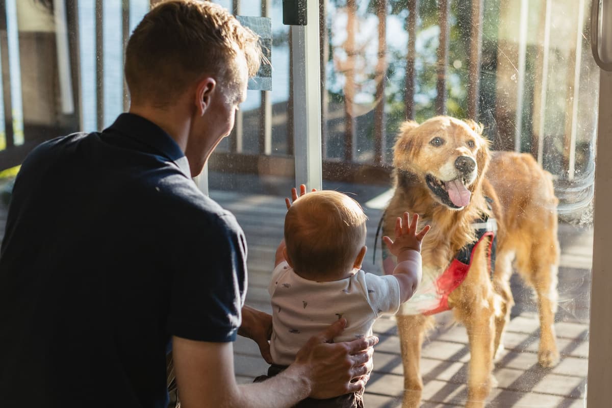 Bring your four-legged family members along for your lake getaway!