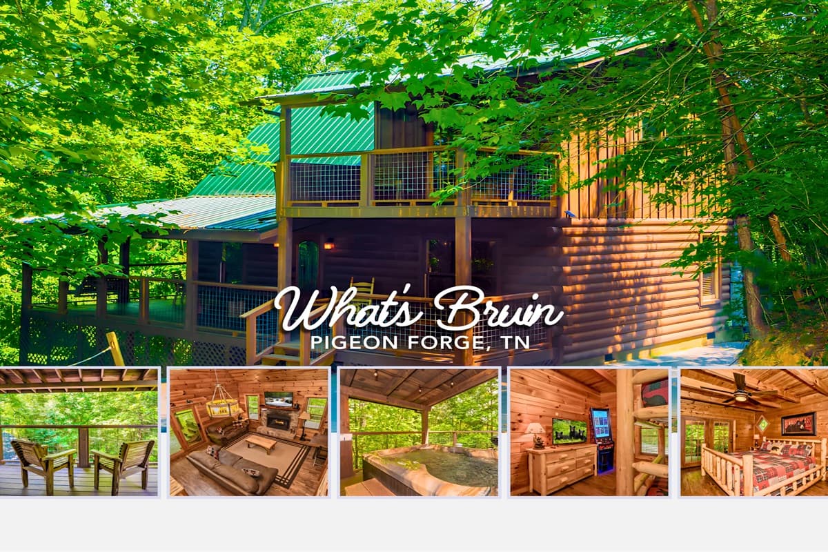 What's Bruin - Pigeon Forge