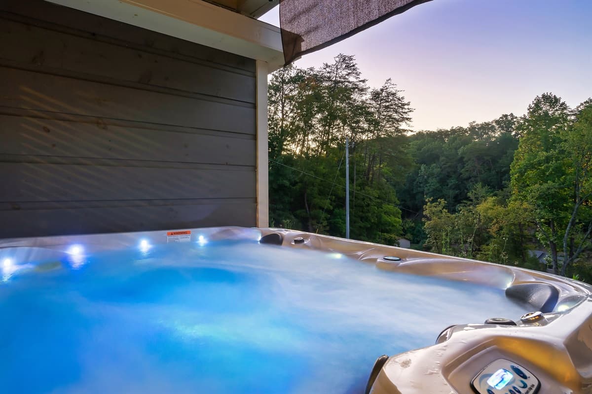 Liberty Lodge - Pigeon Forge, photo 3