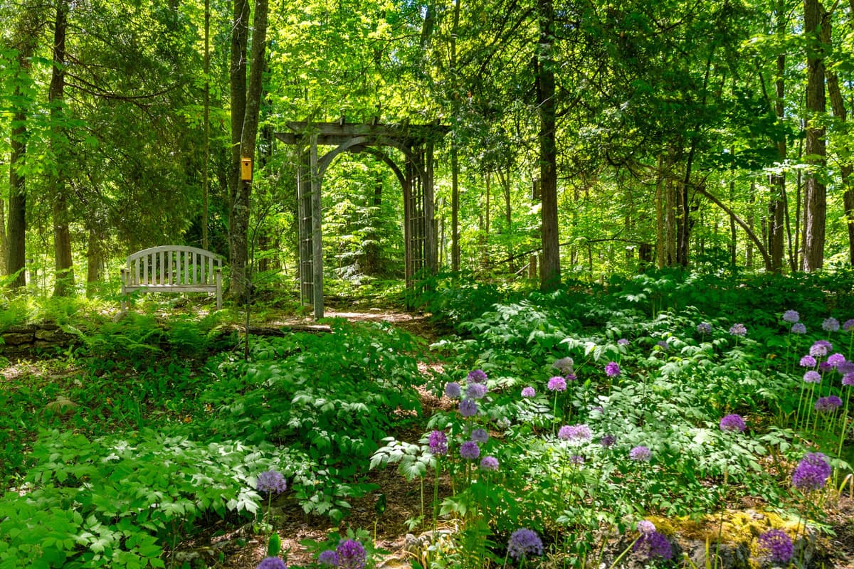 The natural landscaping adds beauty and a refreshing touch to the property, making it a lovely place to relax and enjoy the outdoors.