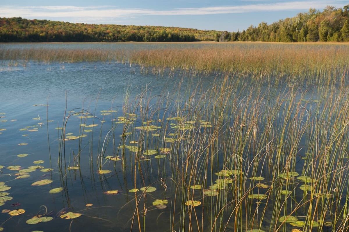 Cana Island is one of Baileys Harbor’s most iconic destinations, home to the historic Cana Island Lighthouse surrounded by the clear waters of Lake Michigan.