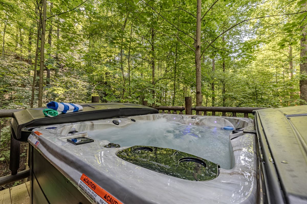 Cedar Hollow - Sevierville