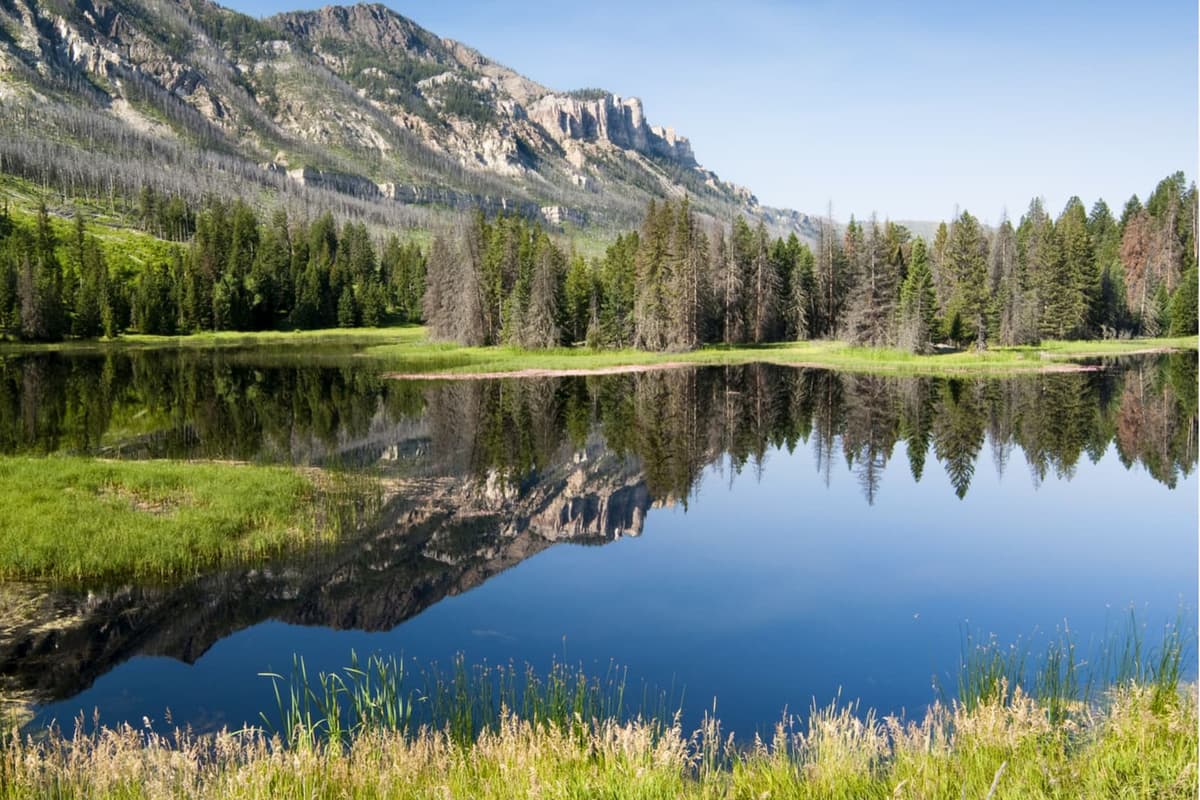 Adventure awaits just beyond your cabin in Cody, Wyoming, with the breathtaking beauty of Shoshone National Forest nearby.
