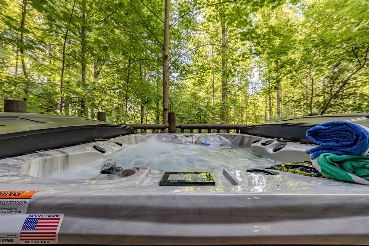 Cedar Hollow - Sevierville, photo 4