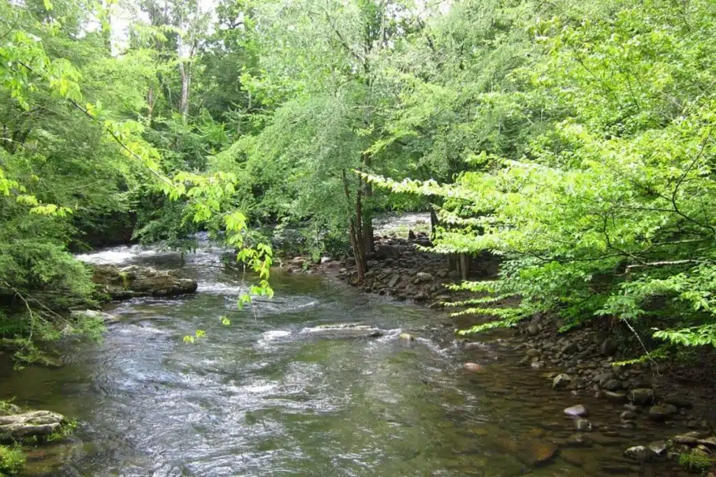 View of Sevierville Tennessee with Smoky Mountains backdrop and local attractions in the foreground