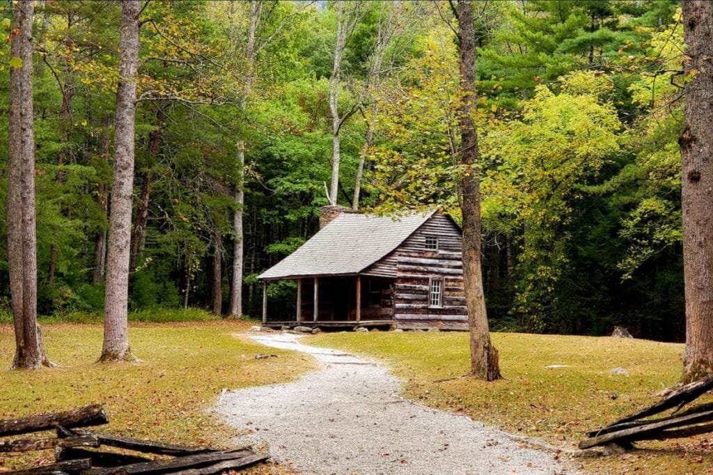 pet friendly cabins in the smoky mountains