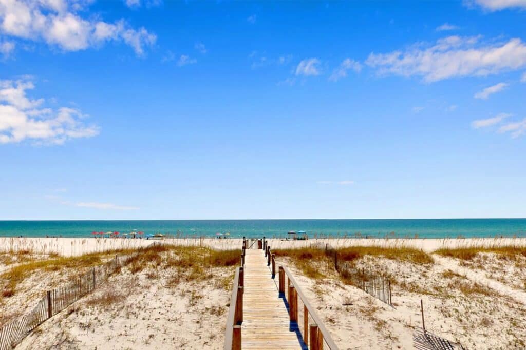 your guide to gulf shores water activities & cruises