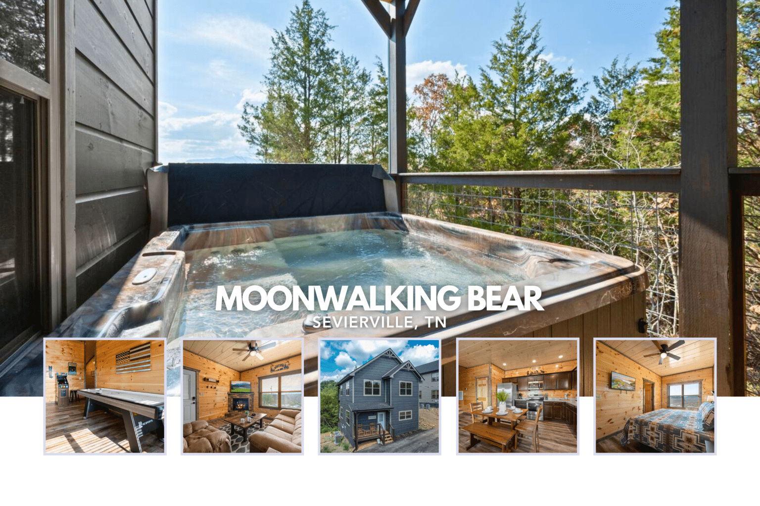 Moonwalking Bear Sevierville, TN