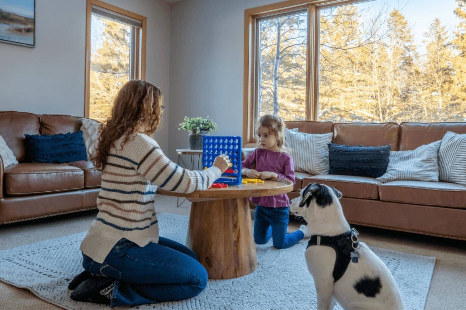 Best Pet-Friendly Vacation Rentals in Door County