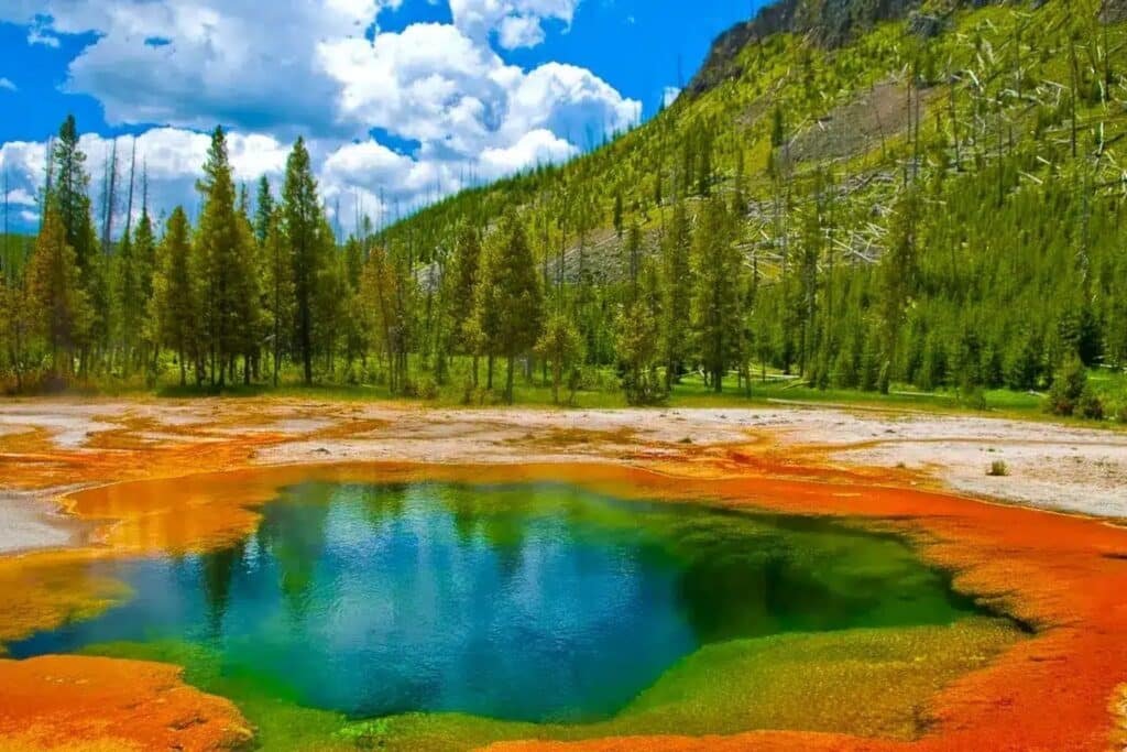 Cody, Wyoming FAQs_ Your Complete Guide