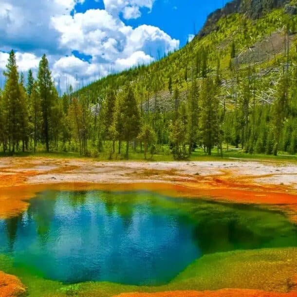 Cody, Wyoming FAQs_ Your Complete Guide