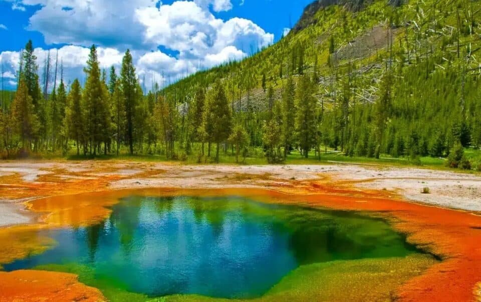 Cody, Wyoming FAQs_ Your Complete Guide