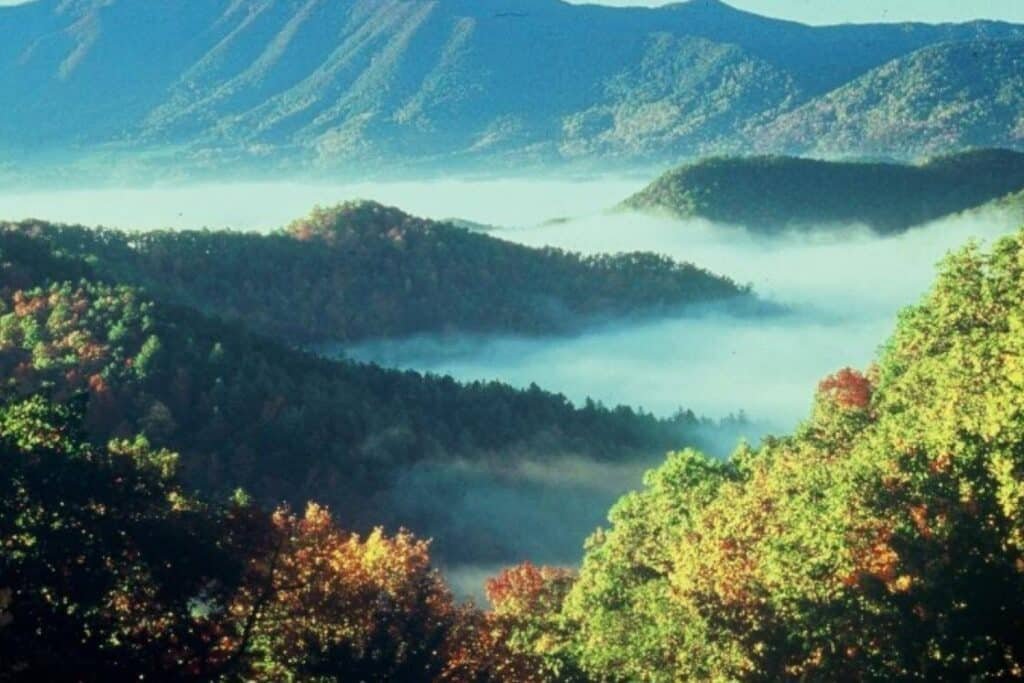 Scenic view of Great Smoky Mountains National Park with forested hills and blue mountain ridges