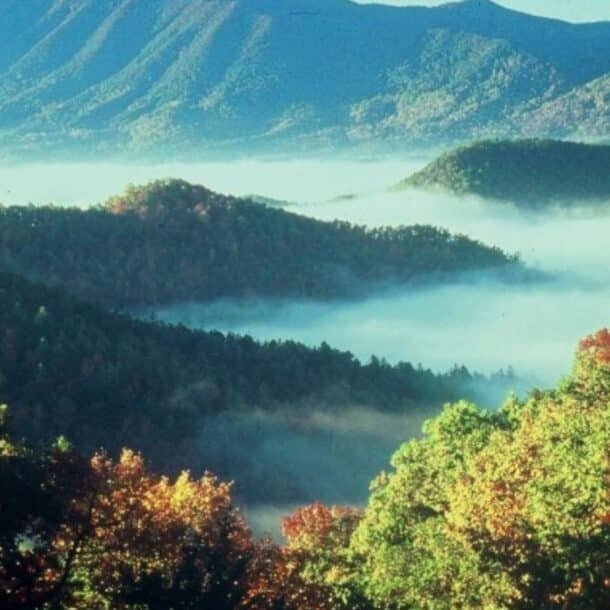 Scenic view of Great Smoky Mountains National Park with forested hills and blue mountain ridges