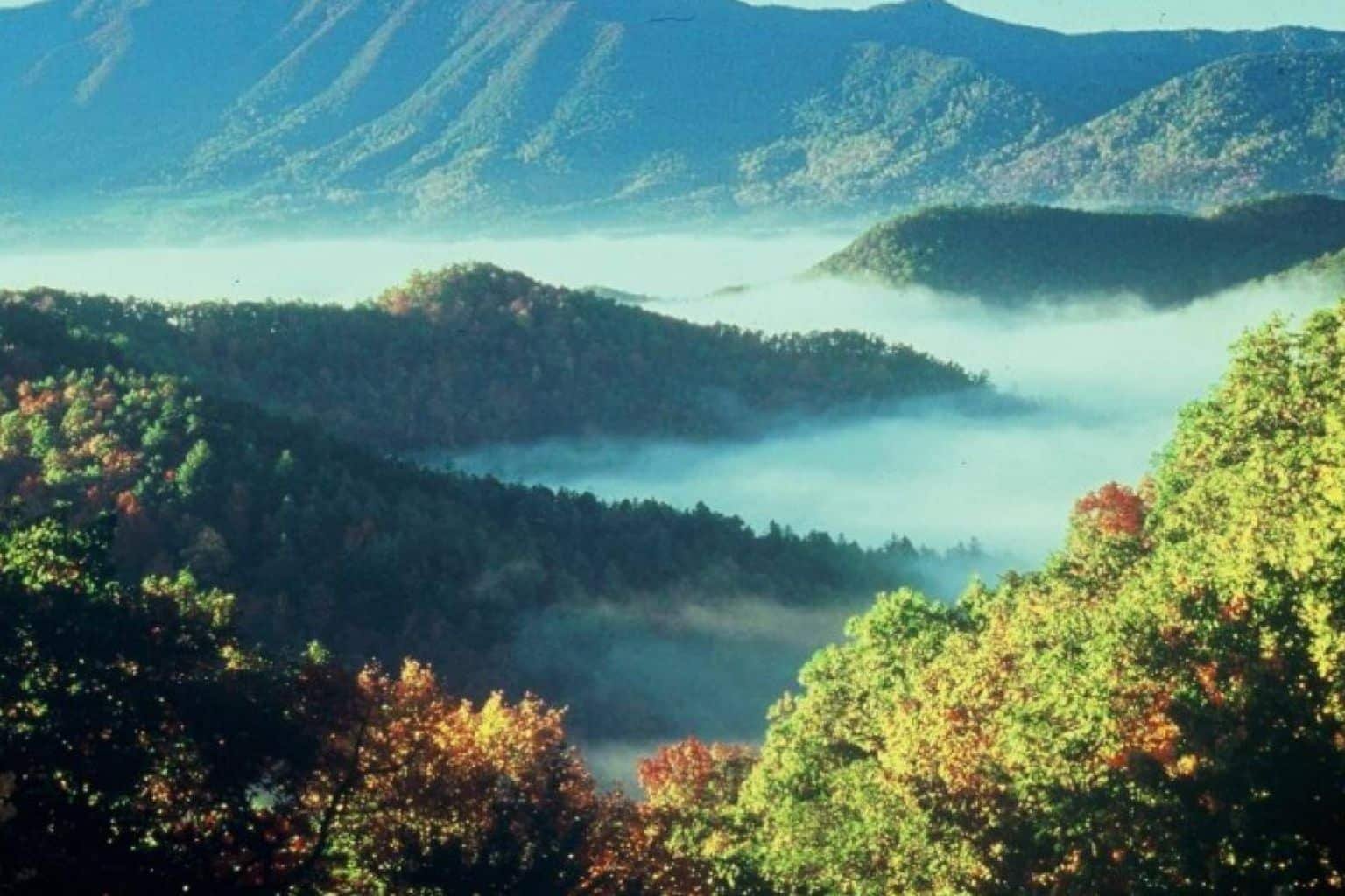 Scenic view of Great Smoky Mountains National Park with forested hills and blue mountain ridges